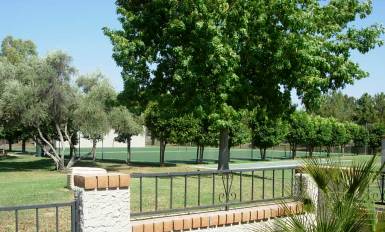 Property Picture