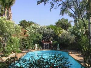 Chandler Rental