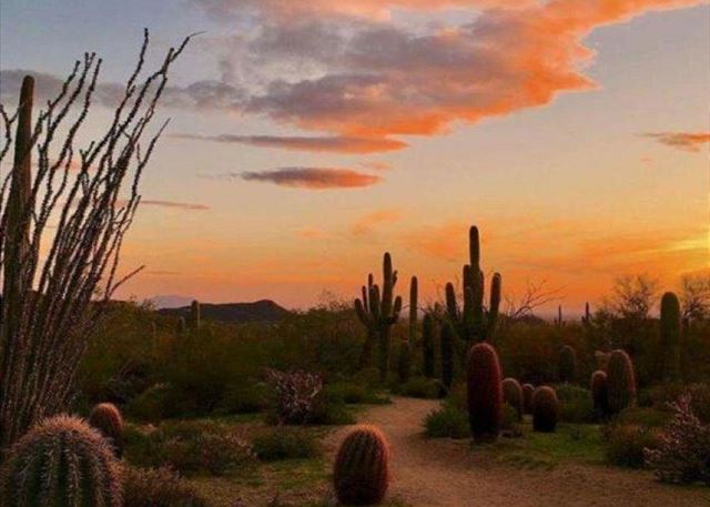 Phoenix Vacation Rentals - Property#35